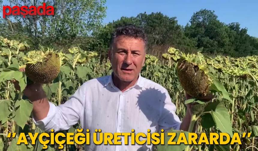 Orhan Sarıbal'' Ayçiçeği Üreticisi Zararda''