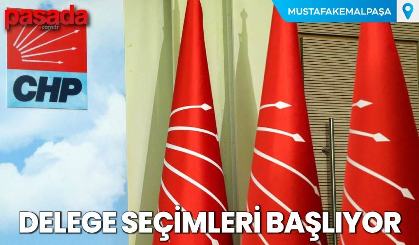 Delege Seçimleri Başlıyor