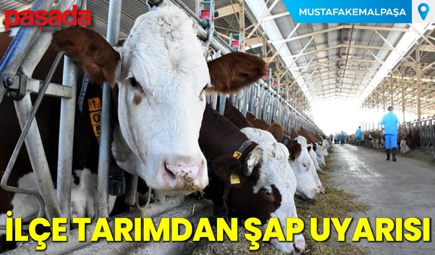 İlçe Tarımdan Şap Uyarısı