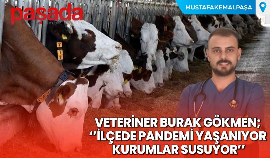 ''İlçede Pandemi Yaşanıyor, Kurumlar Susuyor''