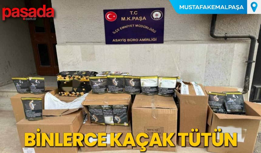 Binlerce Kaçak Tütün