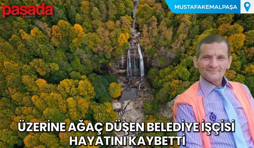 Üzerine Ağaç Düşen Belediye İşçisi Hayatını Kaybetti