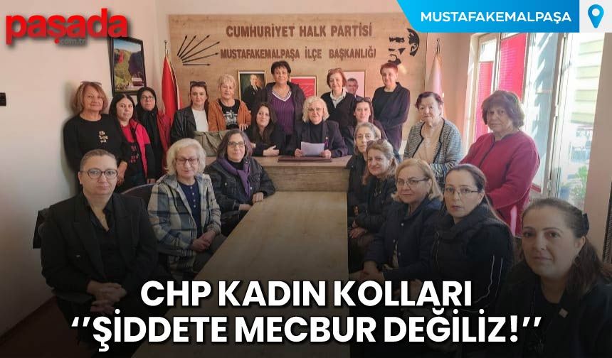 CHP Kadın Kolları'' Şiddete Mecbur Değiliz''