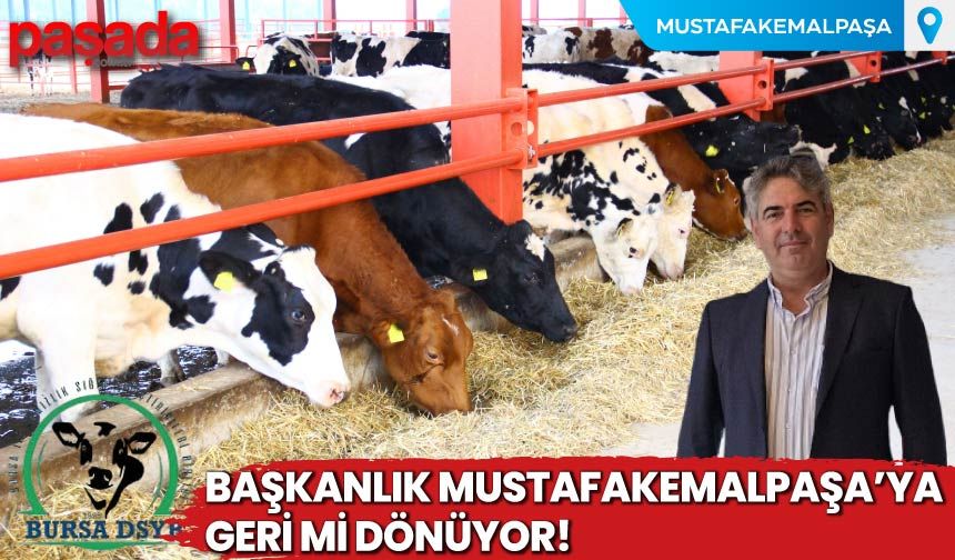 Başkanlık Mustafakemalpaşa'ya Geri mi Dönüyor!