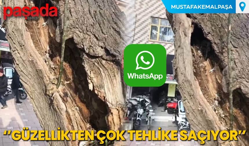 ''Güzellikten Çok Tehlike Saçıyor''