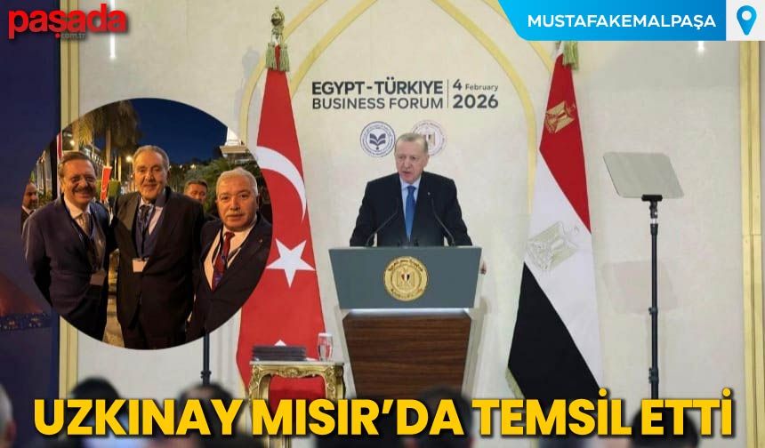 Uzkınay Mısır'da Temsil Etti