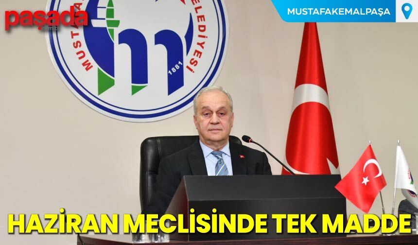 Haziran Meclisinde Tek Madde