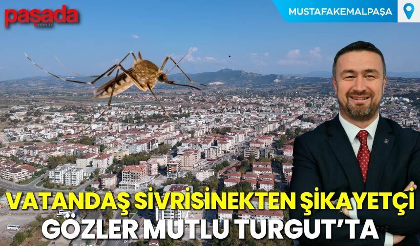 Vatandaş Sivrisinekten Şikayetçi, Gözler Mutlu Turgut’ta