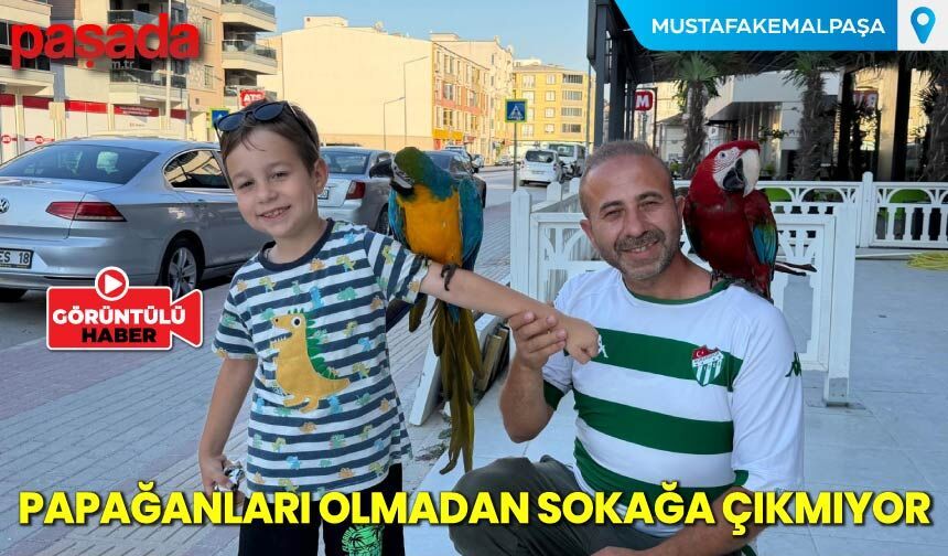 Papağanları Olmadan Sokağa Çıkmıyor