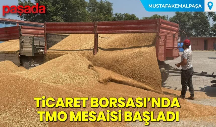 Ticaret Borsası'nda TMO Mesaisi Başladı