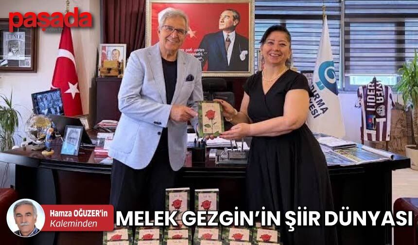 Melek Gezgin'in Şiir Dünyası