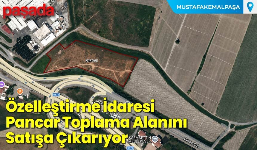 Özelleştirme İdaresi Pancar Toplama Alanını Satışa Çıkarıyor