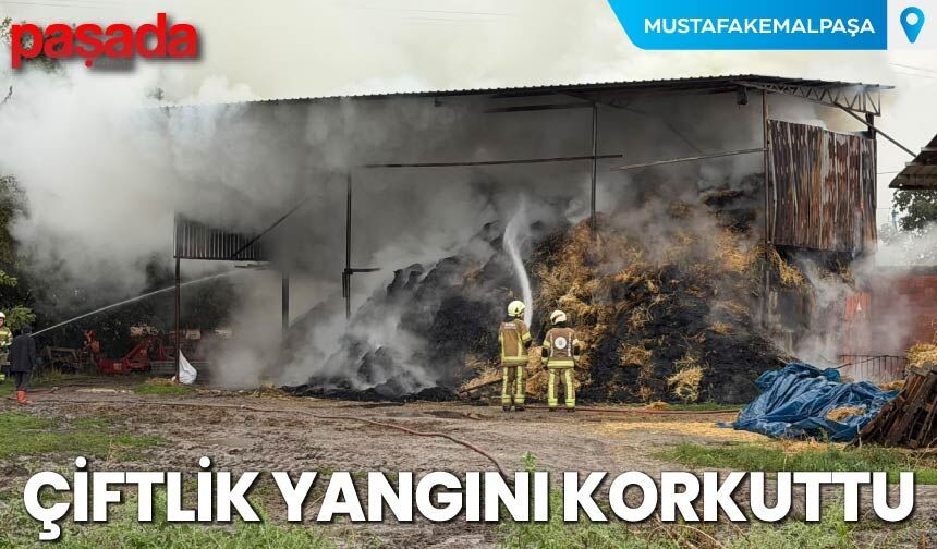 Çiftlik Yangını Korkuttu