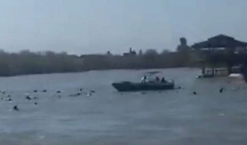 Dicle Nehri'nde Feribot Battı: 72 Kişi Hayatını Kaybetti!