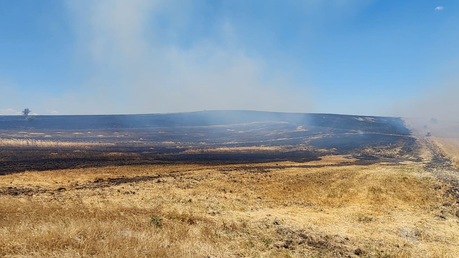 Whatsapp Image 2025 06 22 At 15.48.57