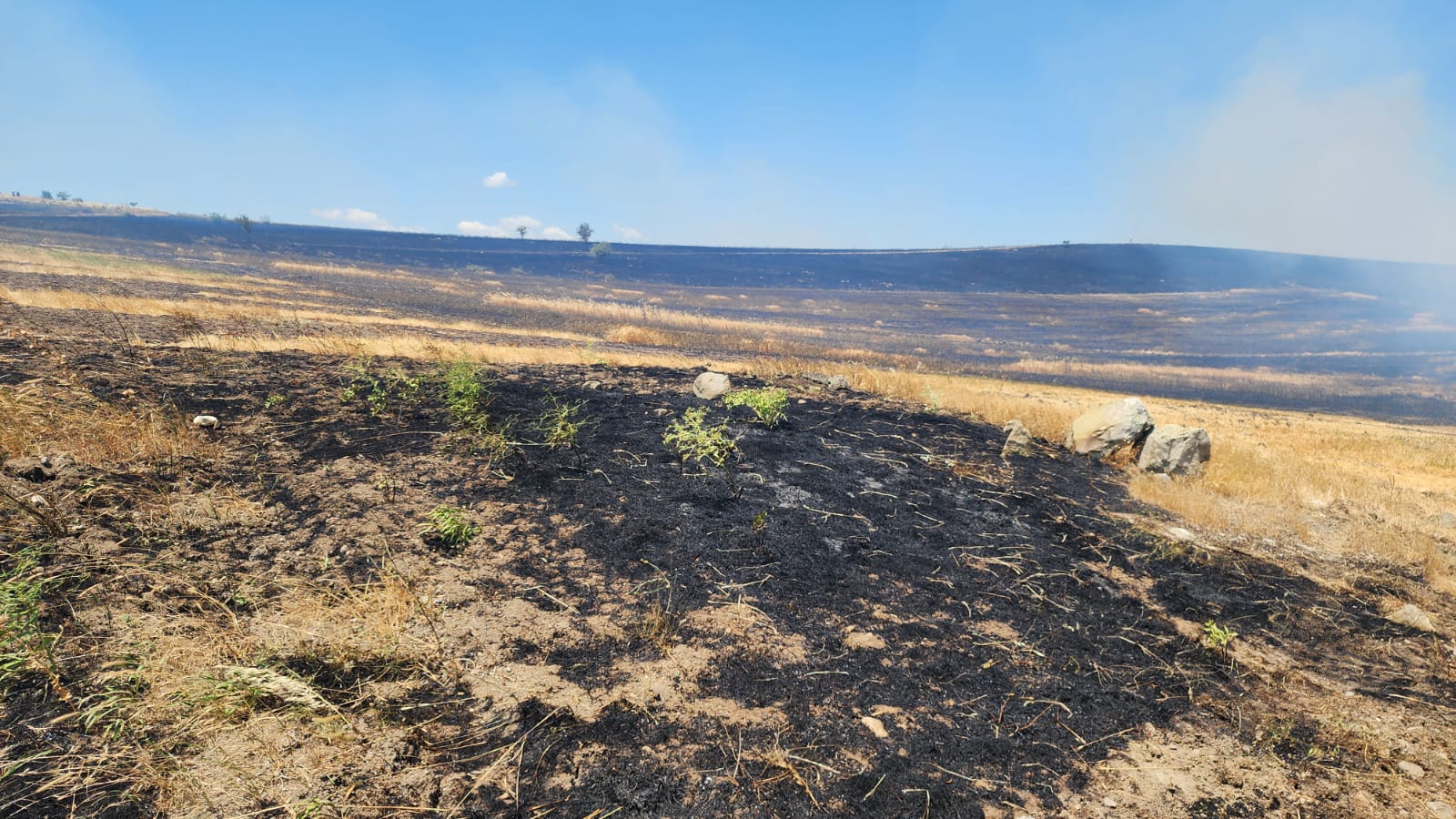 Whatsapp Image 2025 06 22 At 15.48.59