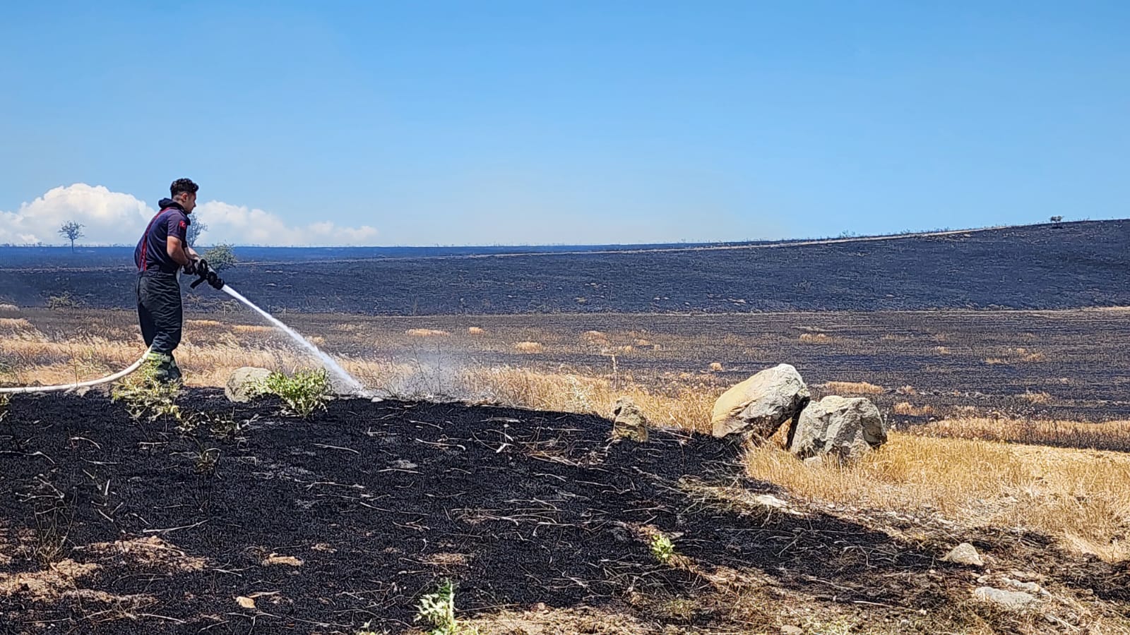 Whatsapp Image 2025 06 22 At 15.49.00