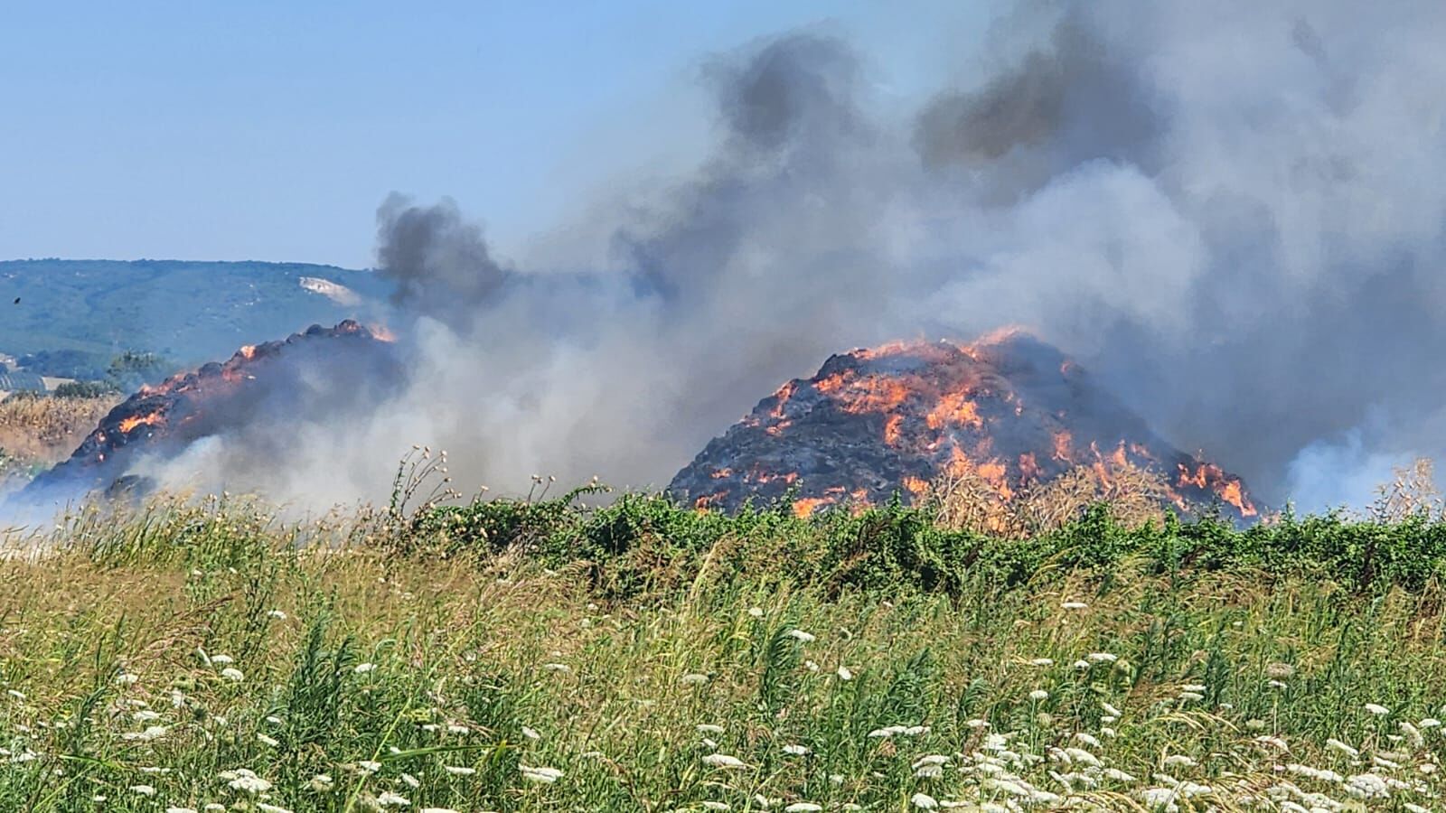 Whatsapp Image 2025 07 20 At 19.36.44