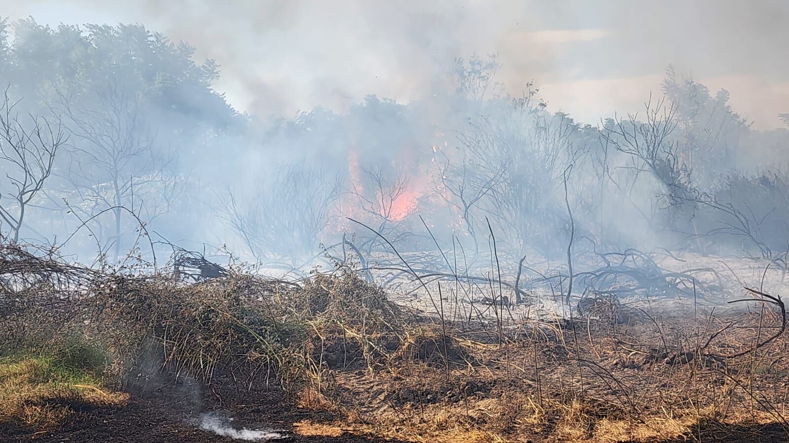 Whatsapp Image 2025 07 20 At 19.36.45