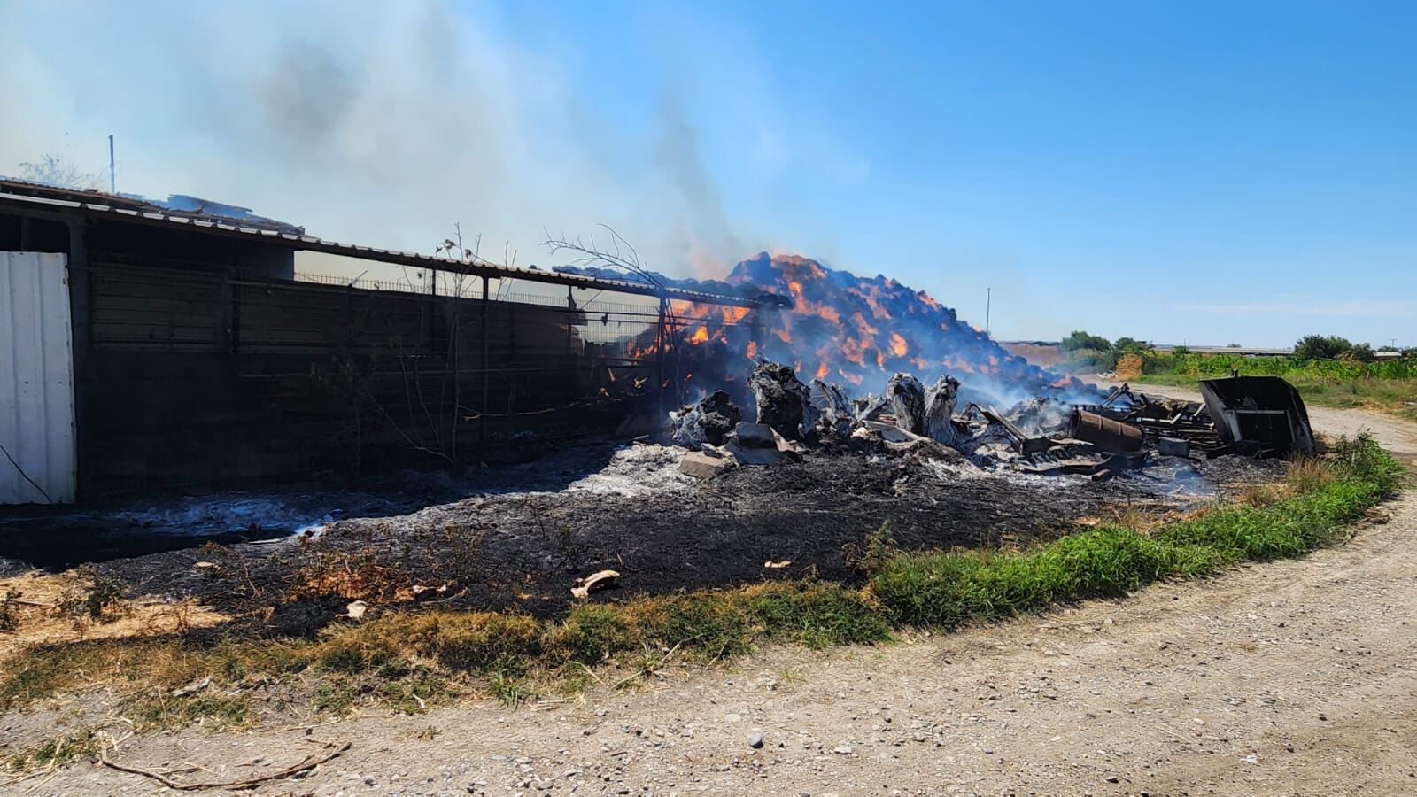 Whatsapp Image 2025 07 20 At 19.36.46 (2)