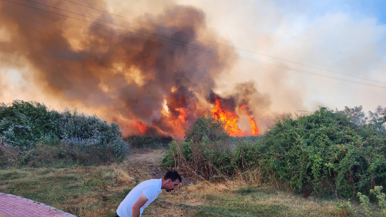 Whatsapp Image 2025 07 20 At 19.36.46