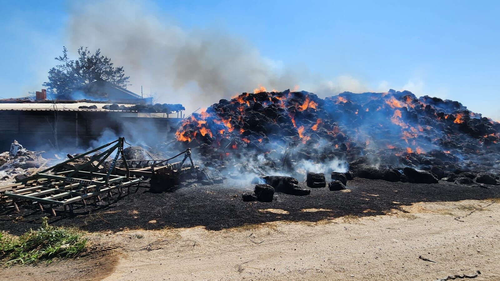 Whatsapp Image 2025 07 20 At 19.36.47 (1)