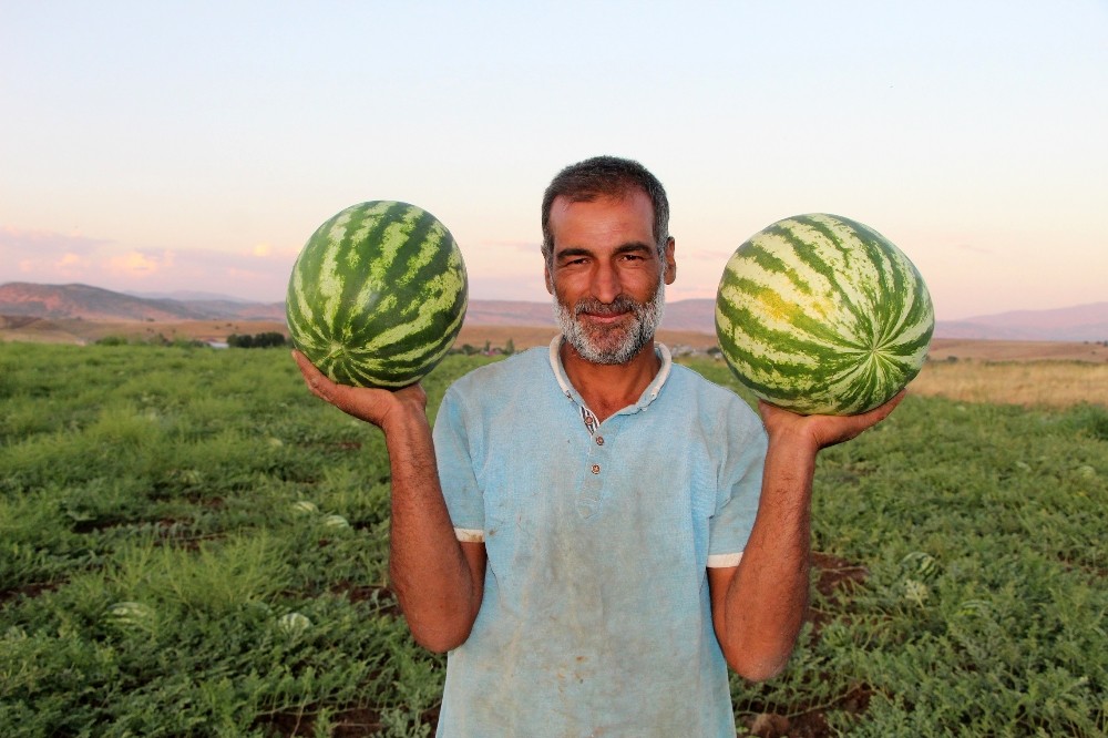 Mehmet Tag Bingolde Kiraladigi 70 Donumluk Arsada 1597740313788