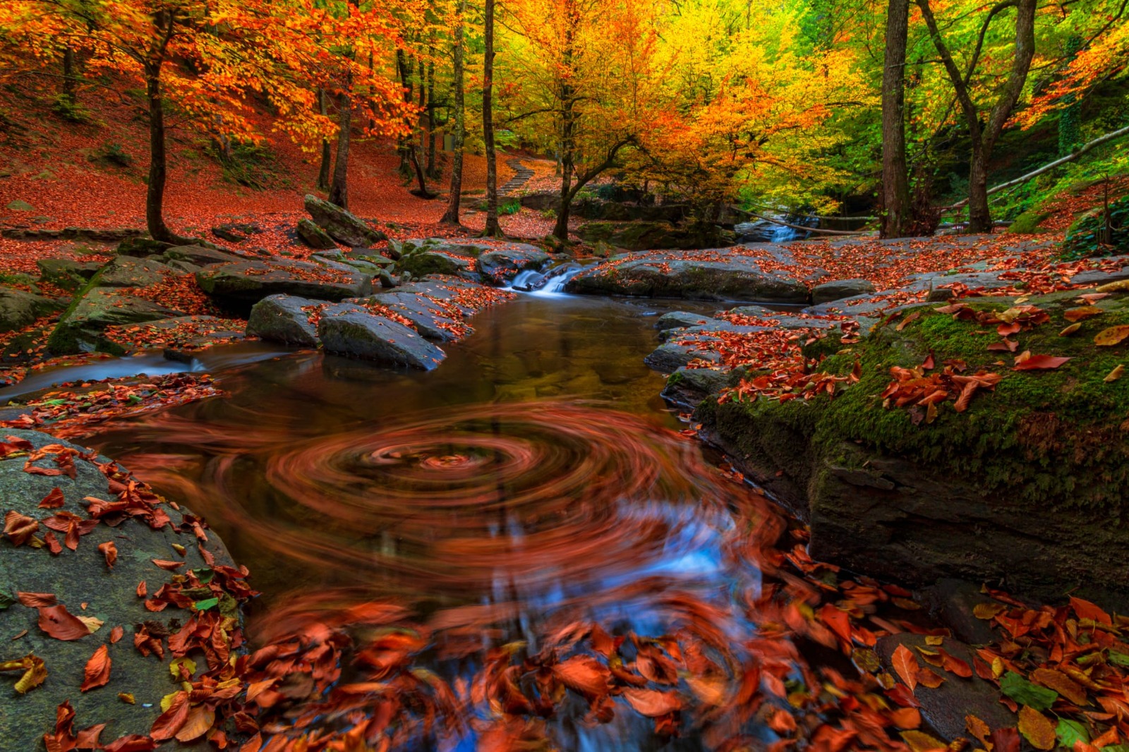 Whatsapp Image 2025 10 31 At 12.23.13 (2)