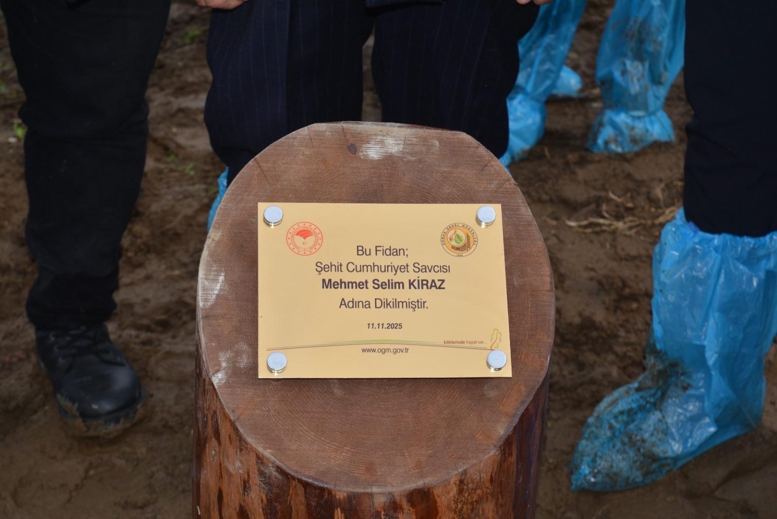 058702Af Bb7D 4B73 A71C 38191E748414 1 1536X1026