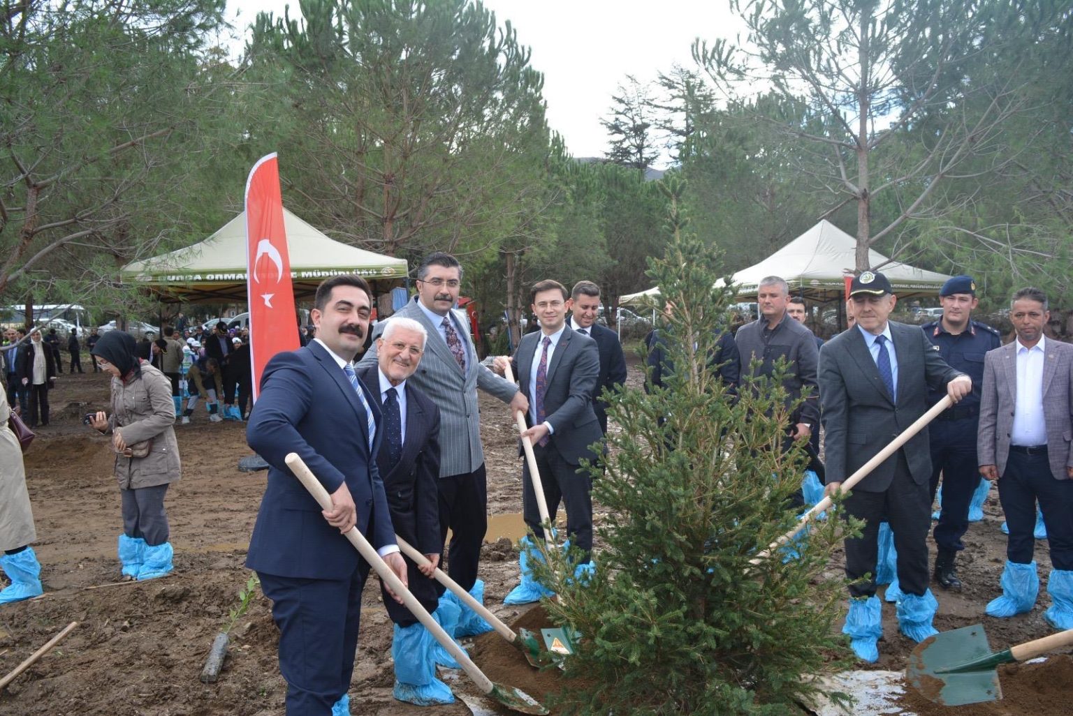 Cd83Fe66 46D9 44F6 8470 3De6271D113A 2 1536X1026