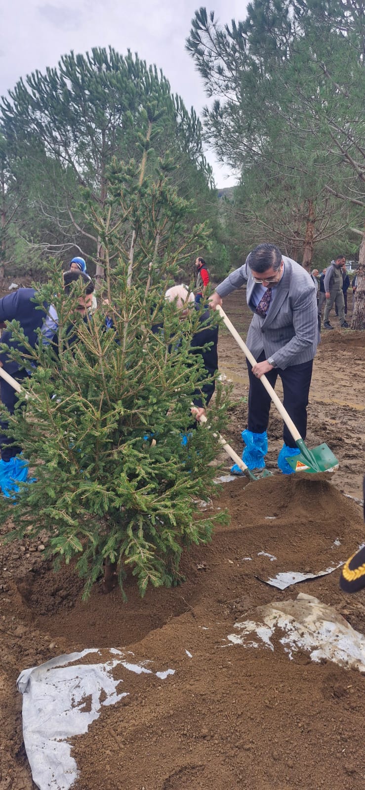 Whatsapp Image 2025 11 11 At 16.33.09