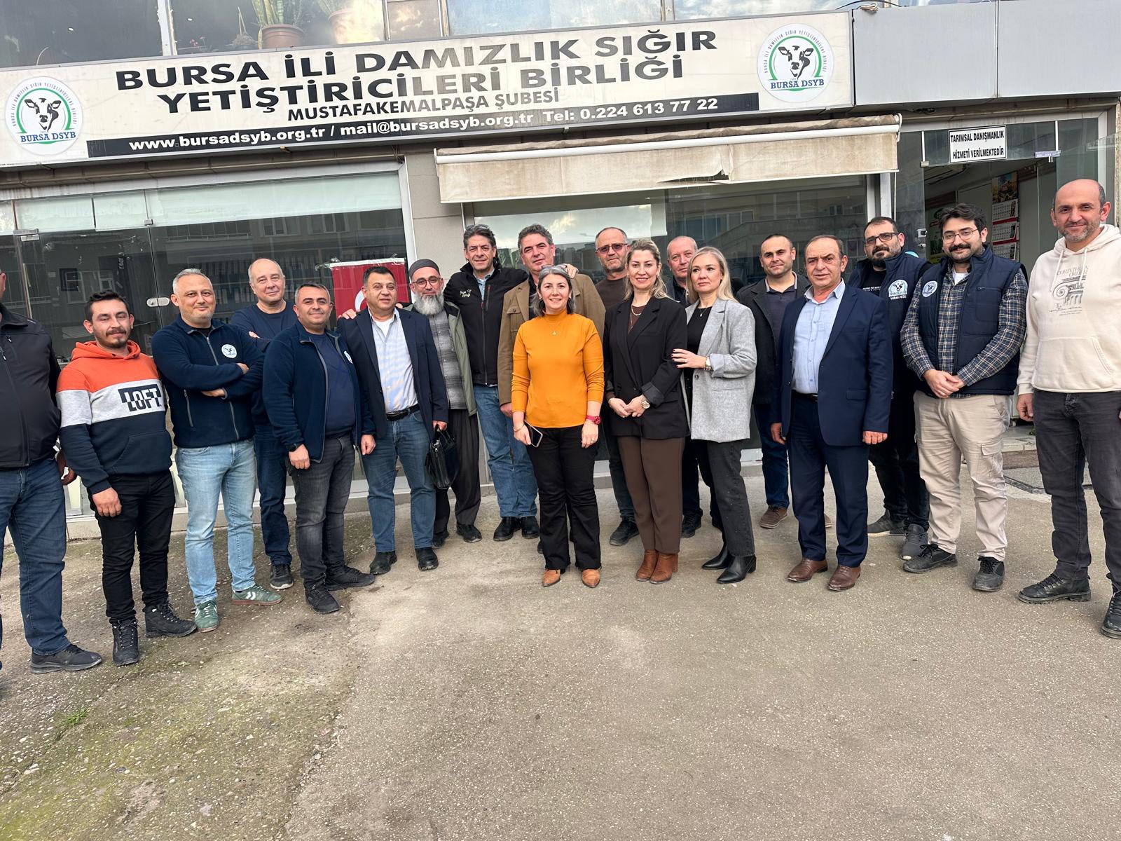 600252730 853556947382079 505918860731439576 N