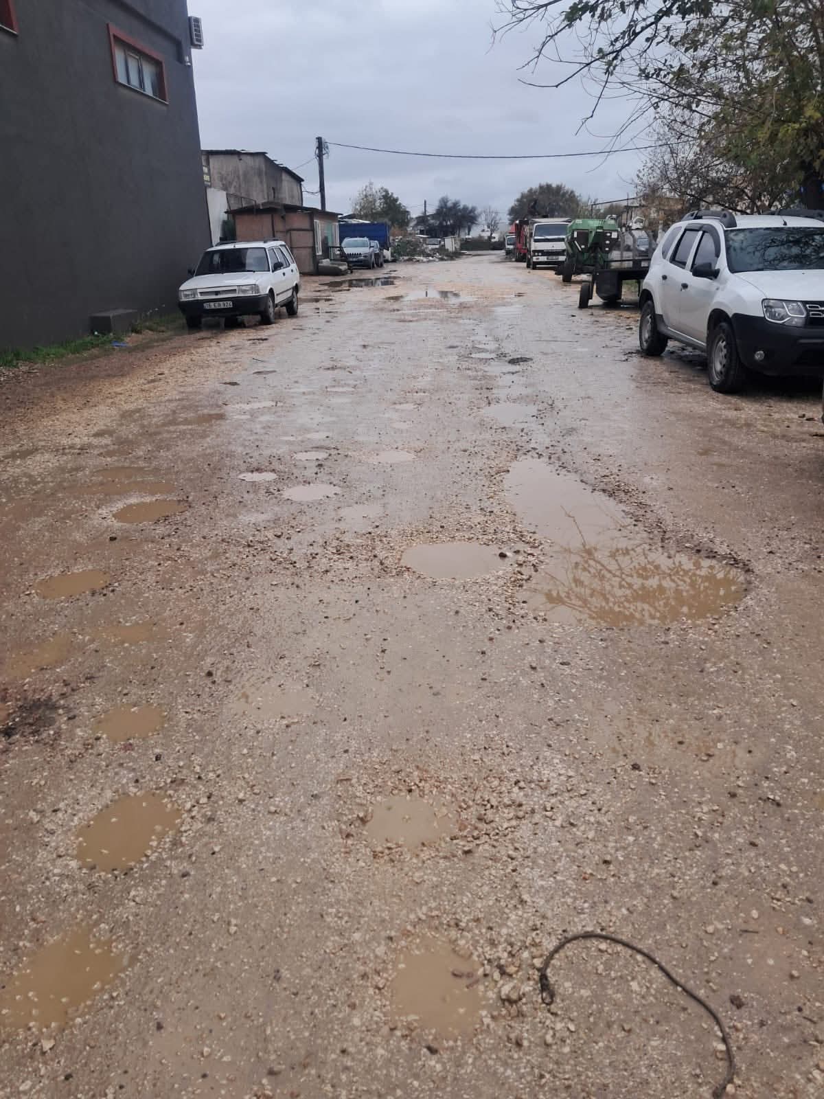 F B I M G 1765191424893