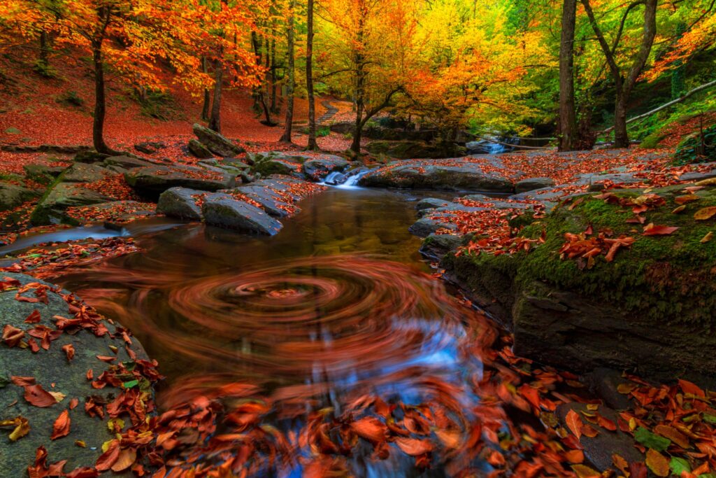 Whatsapp Image 2025 12 20 At 16.06.09