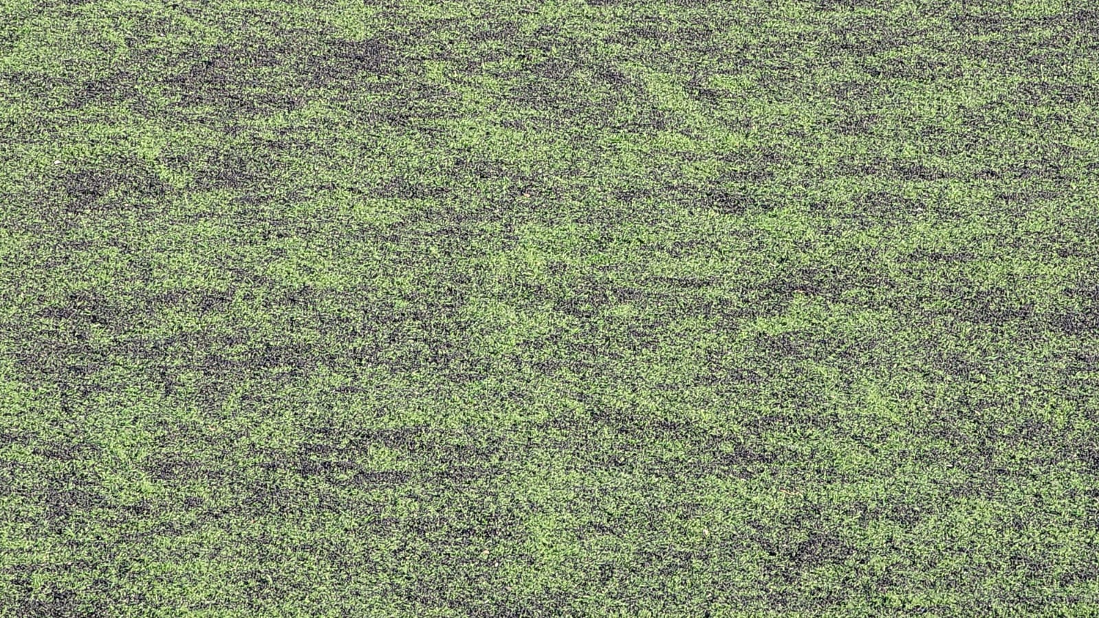 Whatsapp Image 2026 01 05 At 19.49.54