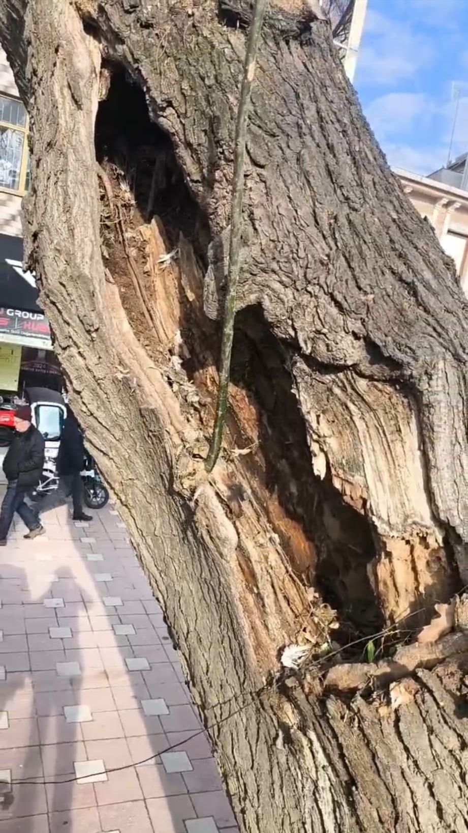 Whatsapp Image 2026 01 17 At 13.18.20