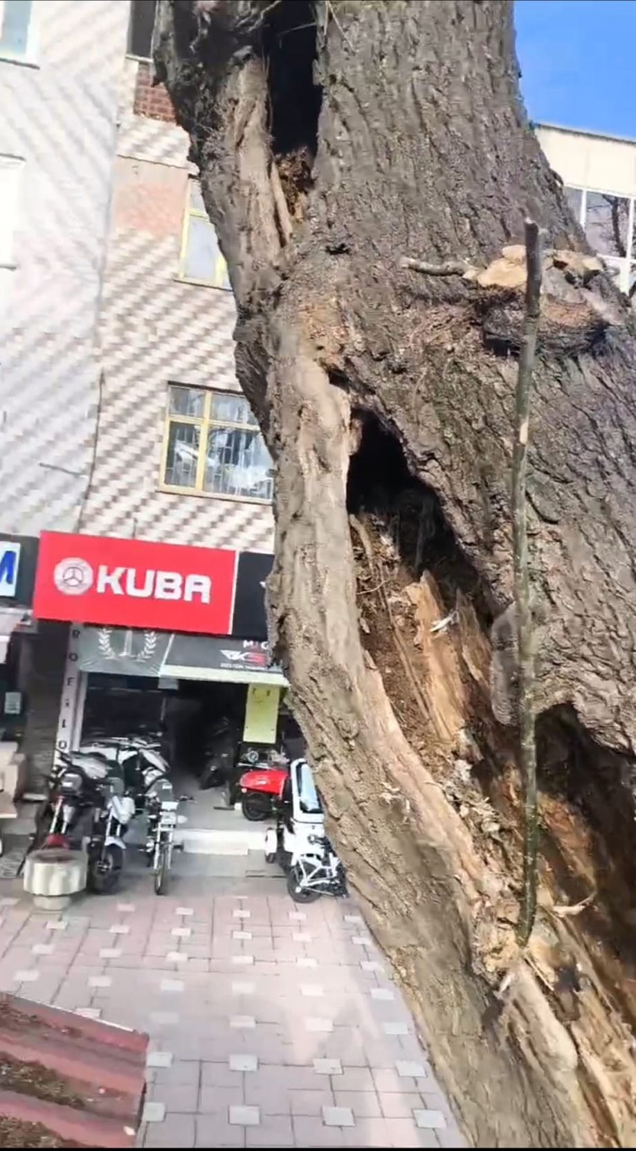 Whatsapp Image 2026 01 17 At 13.18.21