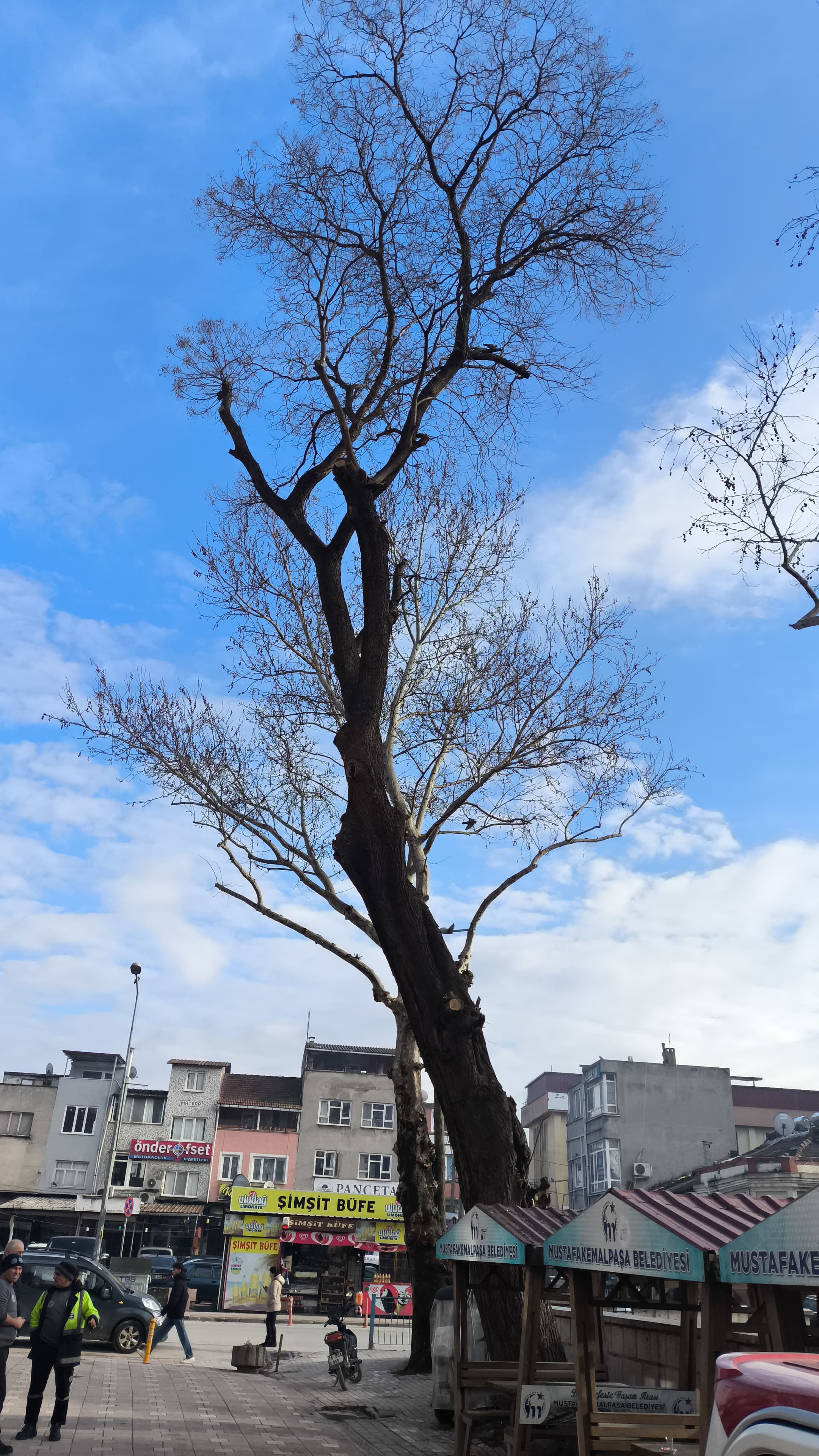 Whatsapp Image 2026 01 17 At 13.18.36