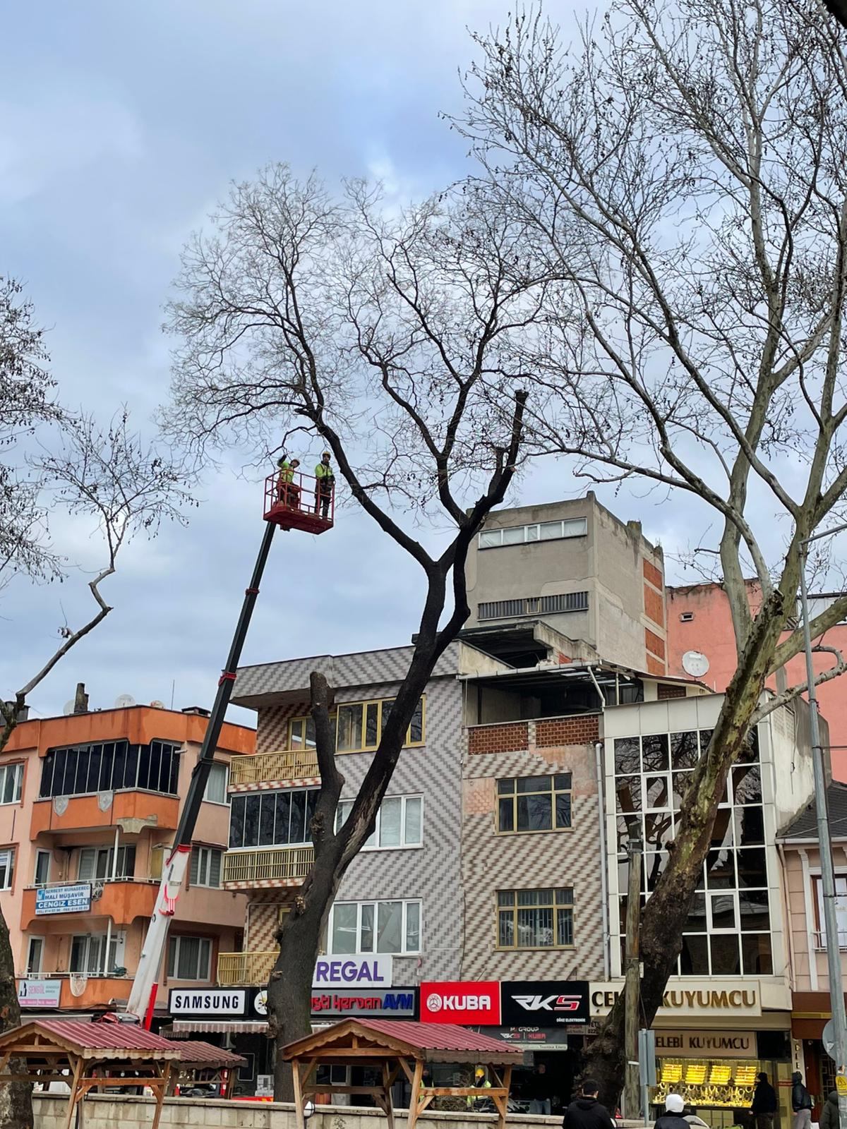 Whatsapp Image 2026 01 20 At 10.21.30 (1)