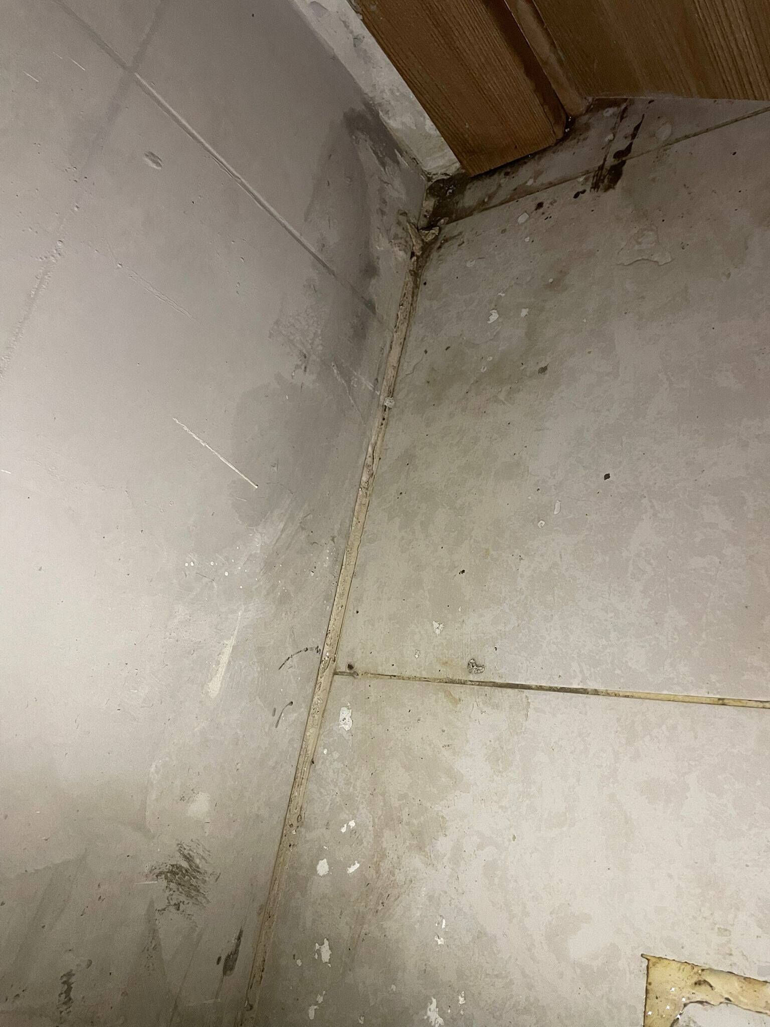 655071528 10162976031324403 172211463695763429 N