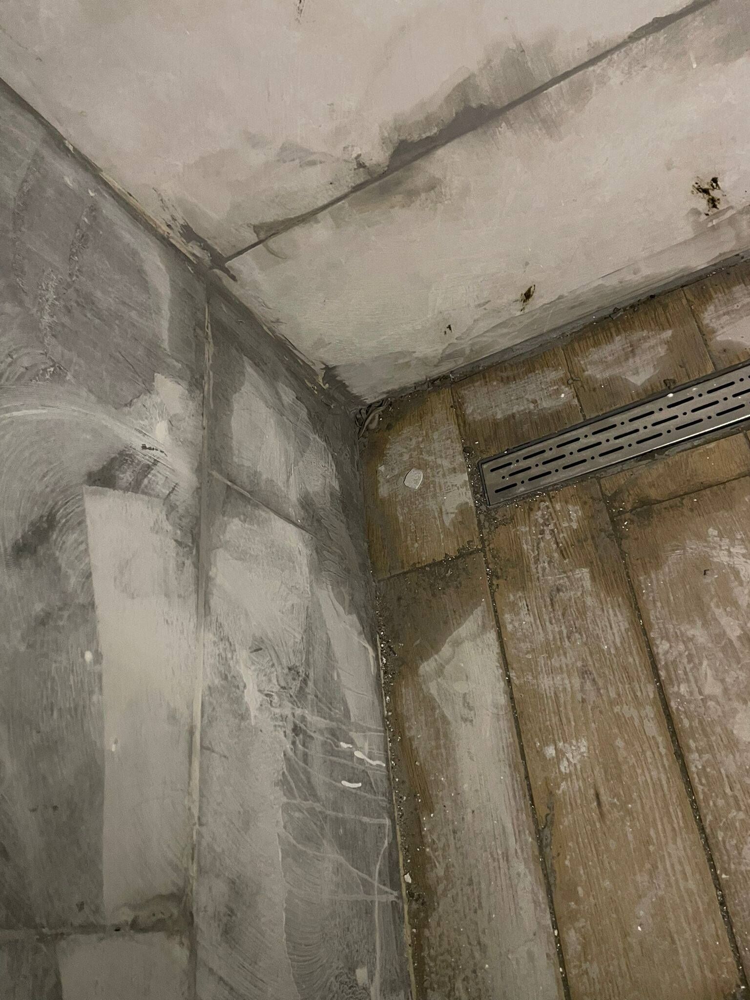 658349540 10162976020374403 3336528913763700550 N