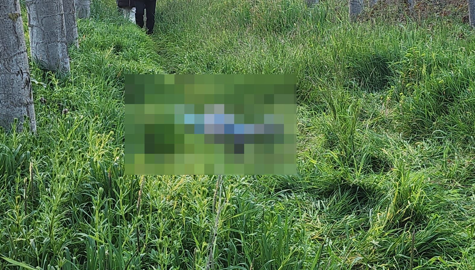 Whatsapp Image 2026 03 25 At 20.53.01