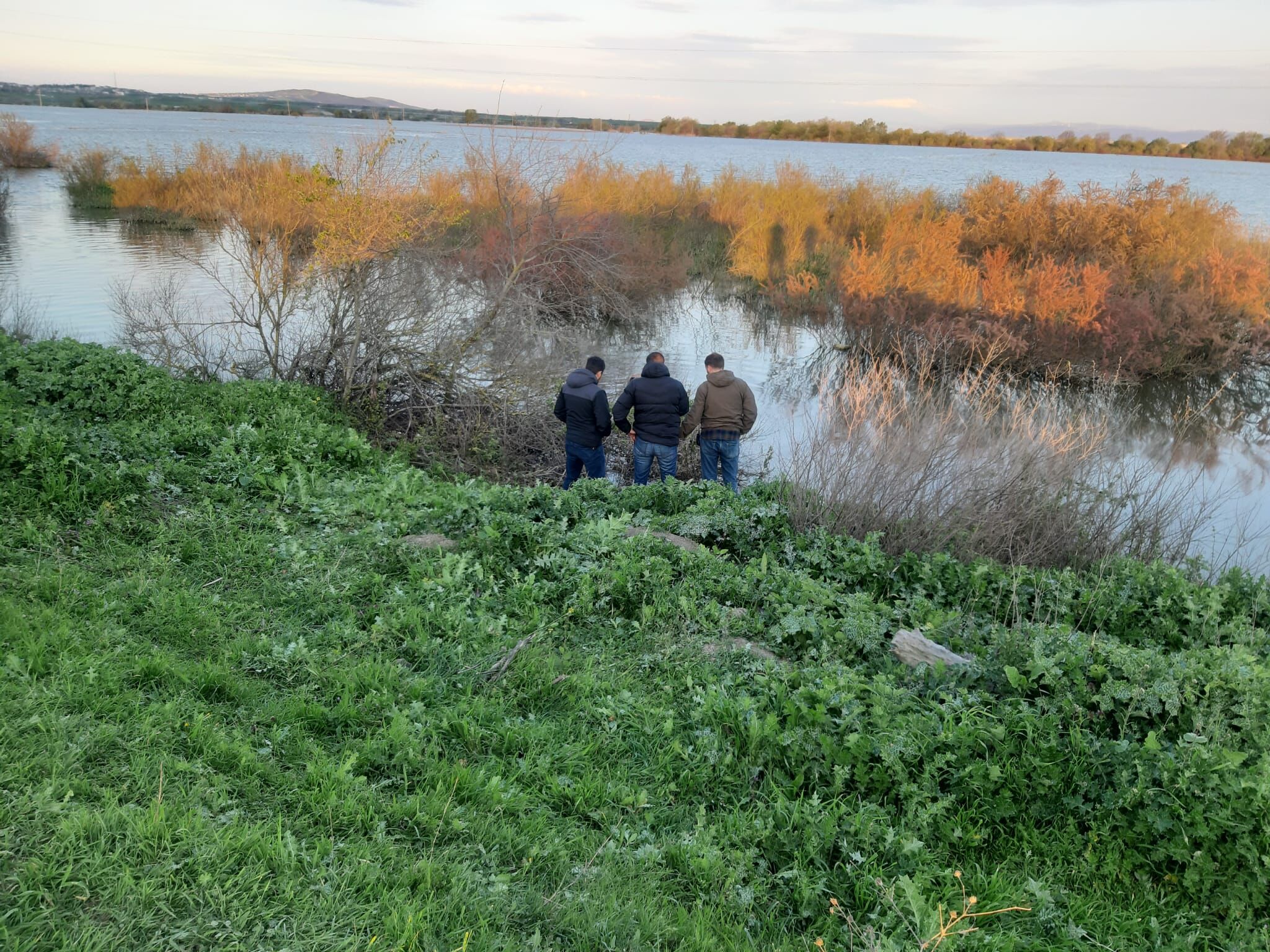 Whatsapp Image 2026 04 11 At 20.26.00