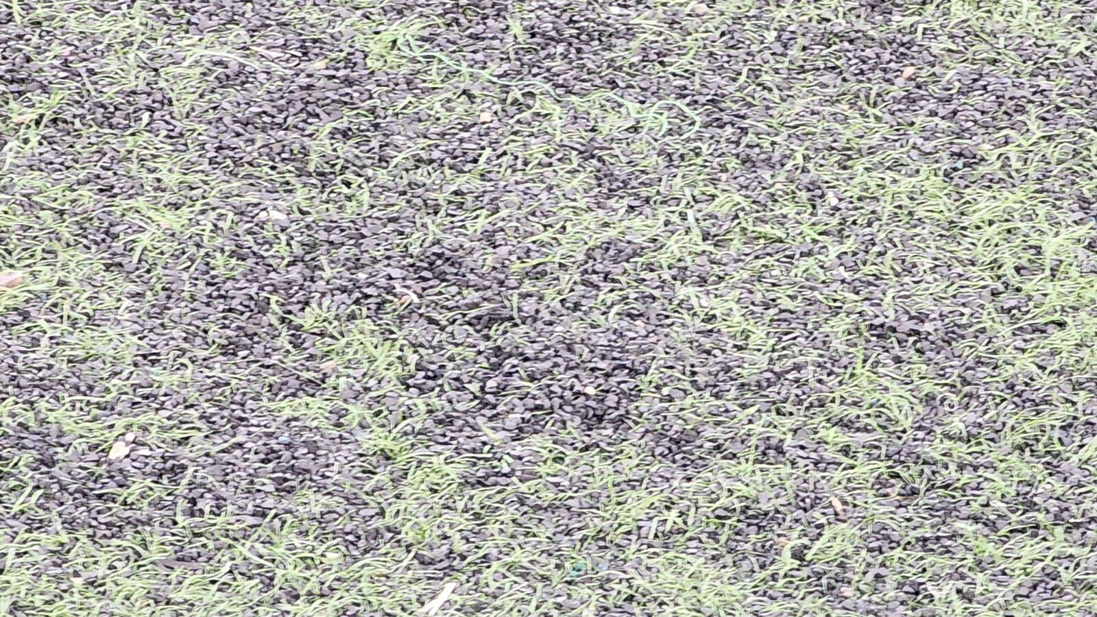 Whatsapp Image 2026 04 22 At 13.36.00