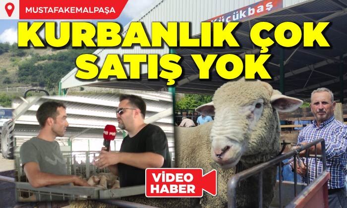 Mustafakemalpaşa Hayvan Pazarında Kurbanlık Çok, Satış Yok